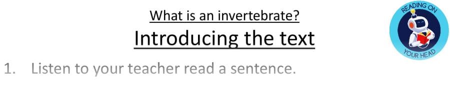 Teaching slides vocabulary-What is an invertebrate