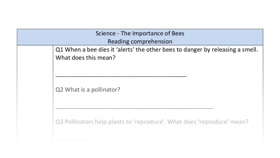 Reading comprehension - VRSIPE - The Importance of Bees