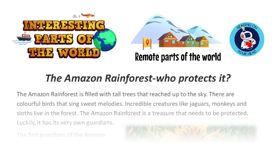 The Amazon Rainforest-who protects it