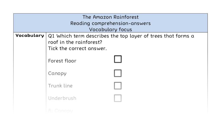 Reading comprehension - vocabulary - The Amazon Rainforest - answers