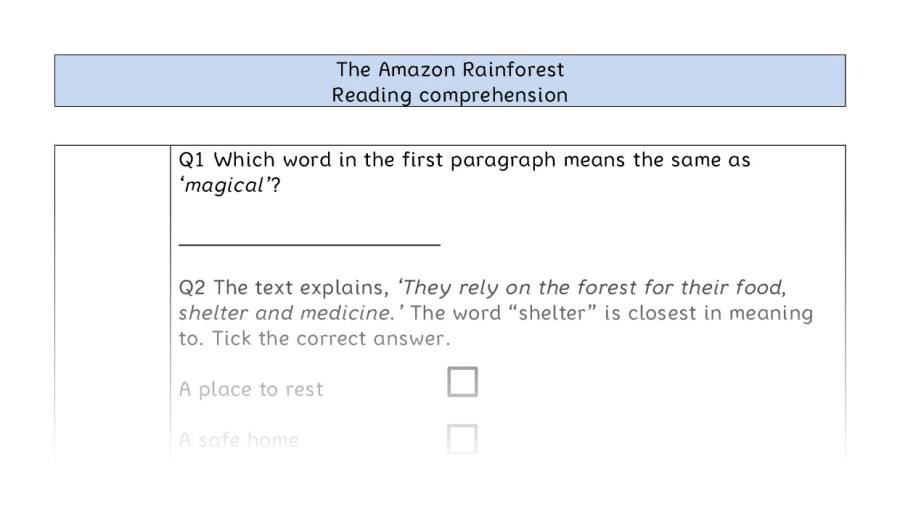 Reading comprehension VRSIPE-The Amazon Rainforest