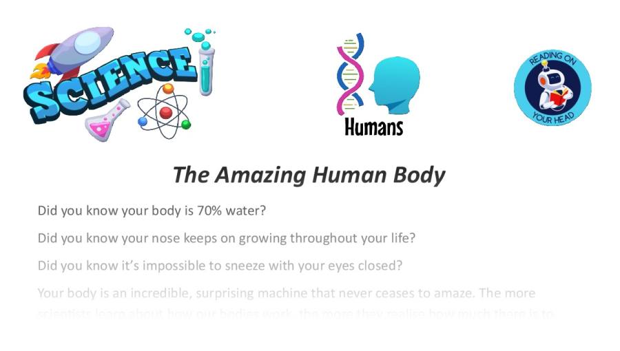 the amazing human body