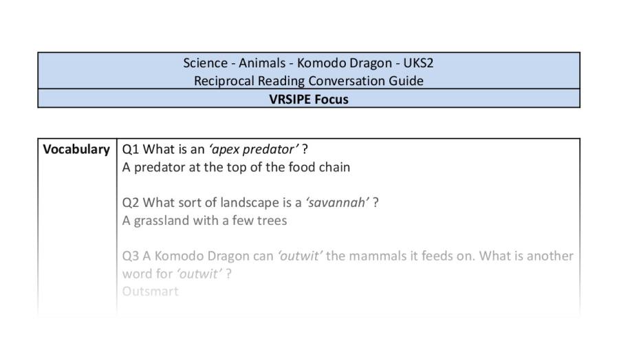Reciprocal Reading Conversation - Komodo Dragon - UKS2 - VRSIPE Focus