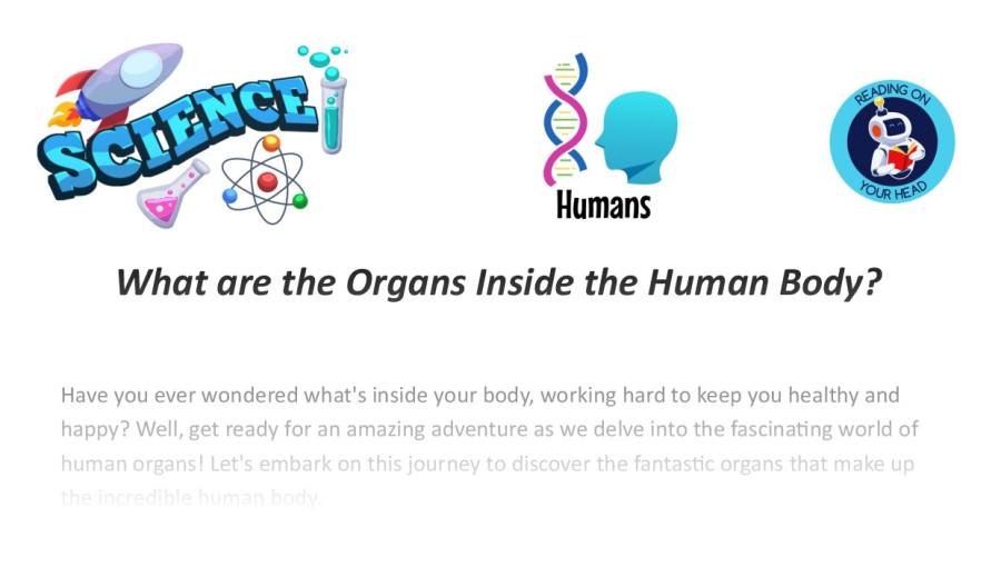 What are the Organs Inside the Human Body
