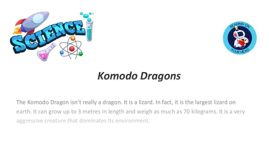 Komodo Dragon HS1