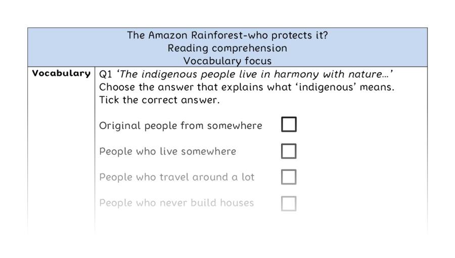 Reading comprehension - vocabulary - The Amazon Rainforest-who protects it
