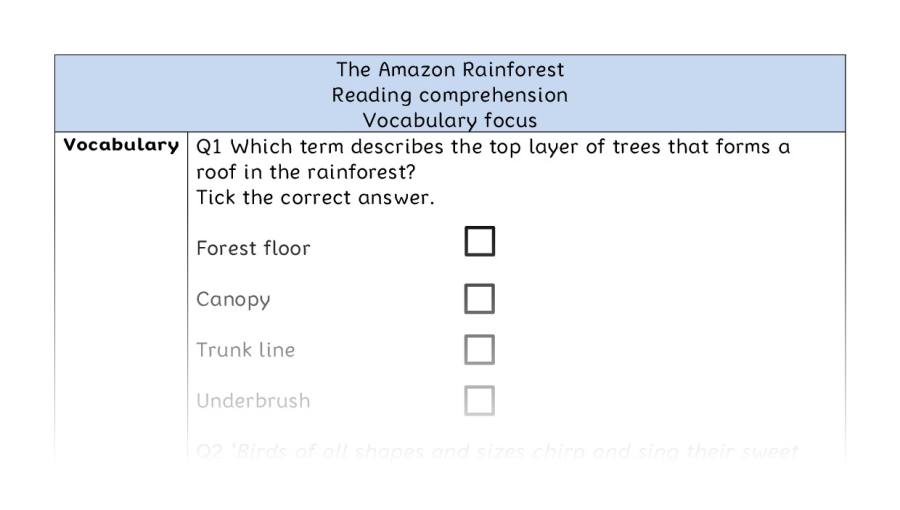 Reading comprehension - vocabulary - The Amazon Rainforest