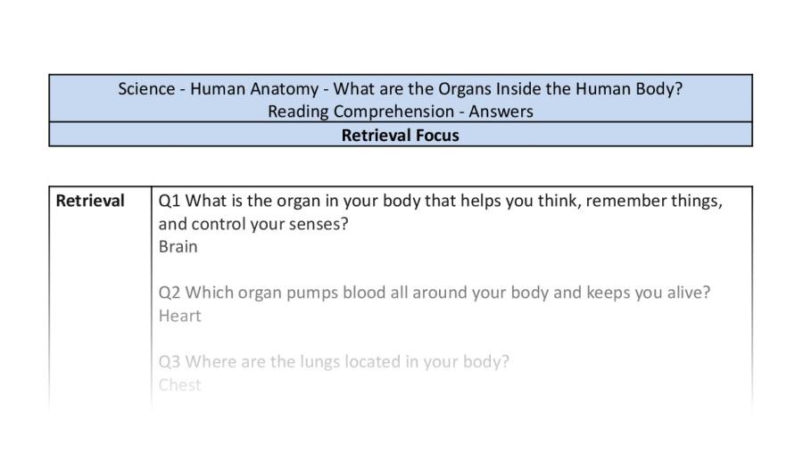 Reading Comprehension - What are the Organs Inside the Human Body - Retrieval Focus