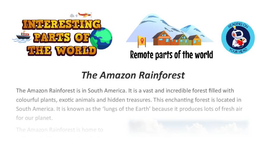 The Amazon Rainforest